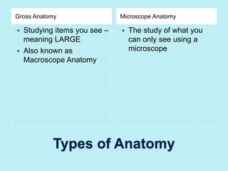 Gross Anatomy Microscope Anatomy 
 Studying items you see – 
meaning LARGE 
 Also known as 
Macroscope Anatomy 
 The study of what you 
can only see using a 
microscope 
Types of Anatomy 
 