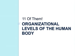 11 Of Them! 
ORGANIZATIONAL 
LEVELS OF THE HUMAN 
BODY 
 