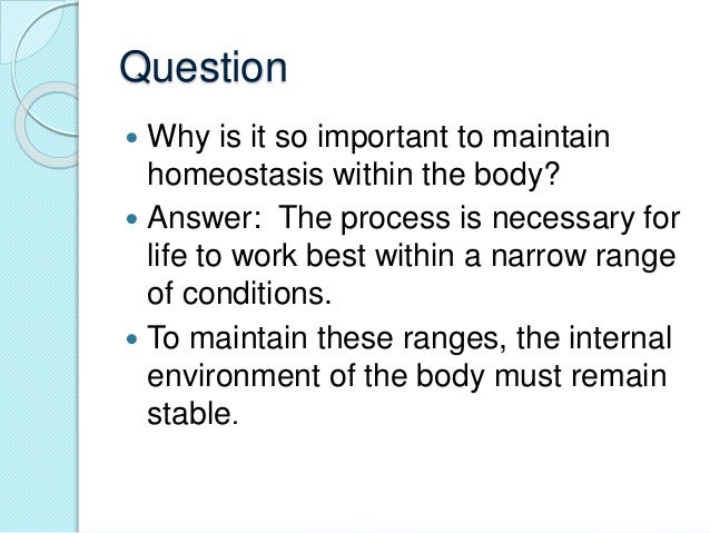 why is it important to maintain military bearing at work What is a personal health record (phr) important points to know about a personal health record: this is why your phr and how you use it is important. why is it important to maintain military bearing at work What is a personal health record (phr) important points to know about a personal health record: this is why your phr and how you use it is important.