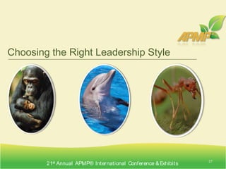 Example “Ant Company” GooglePictures from picasaweb.google.com25