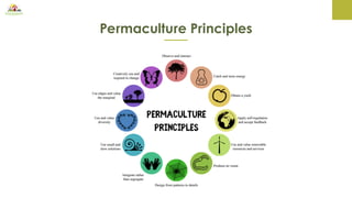 Permaculture Principles
 