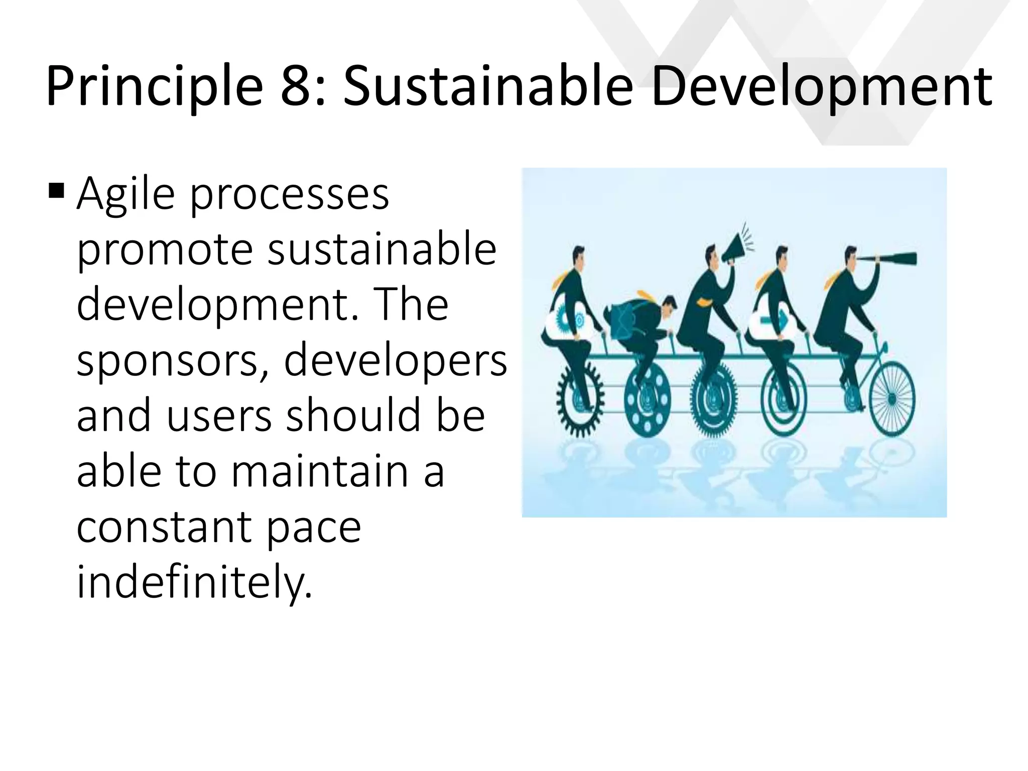 e
Agile processes
promote sustainable
development. The
sponsors, developers
and users should be
able to maintain a
constant pace
indefinitely.
Principle 8: Sustainable Development
 