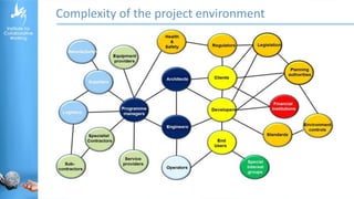 Complexity of the project environment
 