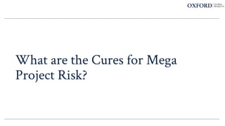 What are the Cures for Mega
Project Risk?
 