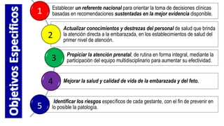 Establecer un referente nacional para orientar la toma de decisiones clínicas
basadas en recomendaciones sustentadas en la mejor evidencia disponible.
Actualizar conocimientos y destrezas del personal de salud que brinda
la atención directa a la embarazada, en los establecimientos de salud del
primer nivel de atención.
Propiciar la atención prenatal, de rutina en forma integral, mediante la
participación del equipo multidisciplinario para aumentar su efectividad.
Mejorar la salud y calidad de vida de la embarazada y del feto.
Identificar los riesgos específicos de cada gestante, con el fin de prevenir en
lo posible la patología.
1
2
3
4
5
 