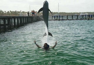 Apresentação de negócios Hinode Atualizada