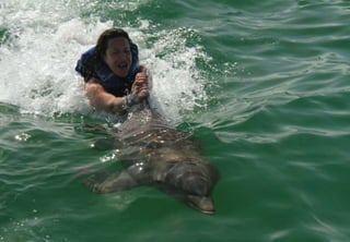 Apresentação de negócios Hinode Atualizada