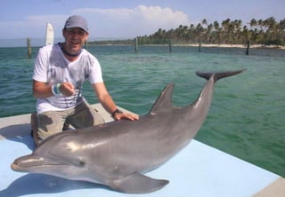 Apresentação de negócios Hinode Atualizada