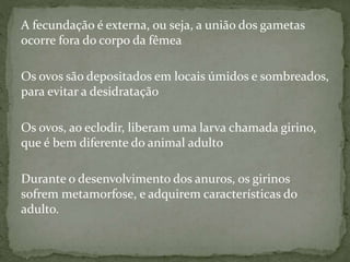 A fecundação é externa, ou seja, a união dos gametas
ocorre fora do corpo da fêmea
Os ovos são depositados em locais úmidos e sombreados,
para evitar a desidratação
Os ovos, ao eclodir, liberam uma larva chamada girino,
que é bem diferente do animal adulto
Durante o desenvolvimento dos anuros, os girinos
sofrem metamorfose, e adquirem características do
adulto.
 