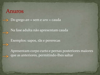 Do grego an = sem e uro = cauda
Na fase adulta não apresentam cauda
Exemplos: sapos, rãs e pererecas
Apresentam corpo curto e pernas posteriores maiores
que as anteriores, permitindo-lhes saltar
 