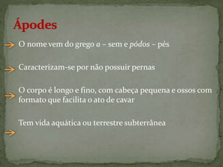 O nome vem do grego a – sem e pódos – pés
Caracterizam-se por não possuir pernas
O corpo é longo e fino, com cabeça pequena e ossos com
formato que facilita o ato de cavar
Tem vida aquática ou terrestre subterrânea
 
