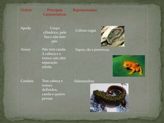 Cobras-cegas
Sapos, rãs e pererecas.
Salamandras
Ordem Principais
Características
Representantes
Apoda Corpo
cilíndrico, pele
lisa e não tem
pés.
Anura Não tem cauda.
A cabeça e o
tronco não têm
separação
nítida.
Caudata Tem cabeça e
tronco
definidos,
cauda e quatro
pernas
 