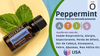 Saúde Respiratória, Alergia,
Expectorante, Perda de Olfato,
Dor de Cabeça, Enxaqueca,
Febre, Náuseas, Mau Hálito Etc.
USA
Peppermint
Mentha Piperita (Hortelã-pimenta)
Auxilio em caso de:
 