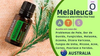 Melaleuca
Melaleuca alternifolia (Tea Tree)
Problemas de Pele, Dor de
Ouvido, Fungicidas, Melasma,
Eczema, Úlcera Varicosa,
Fungos de Unha, Micose, Acne,
Cortes, Psoríase e Feridas.
Auxilio em caso de:
AUSTRALIA
 