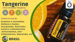 Tangerine
Citrus reticulata (Tangerina)
Aumenta a Imunidade,
Melhora o Humor,
Energizante, Motivador,
Acelera o Metabolismo,
Antioxidantes, Anti-
inflamatórias, Depressão, etc
Auxilio em caso de:
BRASIL
 