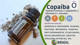Aumenta a Imunidade, Eczema,
Psoríase, Dermatite, Tumores
Anti-inflamatória, Cicatrizante,
Dores Reumáticas, Gastrite
Infecções Urinárias, Etc.
Copaíba
Copaifera coriacea, C. langsdorffii, C.
officinalis e C. reticulata.
Auxilio em caso de:
BRASIL
 