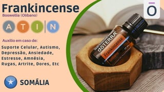 Frankincense
Boswellia (Olíbano)
Suporte Celular, Autismo,
Depressão, Ansiedade,
Estresse, Amnésia,
Rugas, Artrite, Dores, Etc
Auxilio em caso de:
SOMÁLIA
 