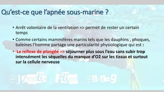 Qu’est-ce que l’apnée sous-marine ?
• Arrêt volontaire de la ventilation => permet de rester un certain
temps
• Comme certains mammifères marins tels que les dauphins , phoques,
baleines l’homme partage une particularité physiologique qui est :
• Le reflexe de plongée => séjourner plus sous l’eau sans subir trop
intensément les séquelles du manque d’O2 sur les tissus et surtout
sur la cellule nerveuse
 