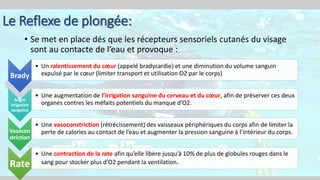 Le Reflexe de plongée:
• Se met en place dés que les récepteurs sensoriels cutanés du visage
sont au contacte de l’eau et provoque :
Brady
• Un ralentissement du cœur (appelé bradycardie) et une diminution du volume sanguin
expulsé par le cœur (limiter transport et utilisation O2 par le corps)
Augm
irrigation
sanguine
• Une augmentation de l’irrigation sanguine du cerveau et du cœur, afin de préserver ces deux
organes contres les méfaits potentiels du manque d’O2.
Vasocon
striction
• Une vasoconstriction (rétrécissement) des vaisseaux périphériques du corps afin de limiter la
perte de calories au contact de l’eau et augmenter la pression sanguine à l’intérieur du corps.
Rate
• Une contraction de la rate afin qu’elle libère jusqu’à 10% de plus de globules rouges dans le
sang pour stocker plus d’O2 pendant la ventilation.
 