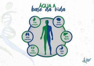 86%
fígado
75%
coração
79%
intestino
85%
cérebro
80%
pulmões
90%
rins
base da vida
ÁGUA A
 