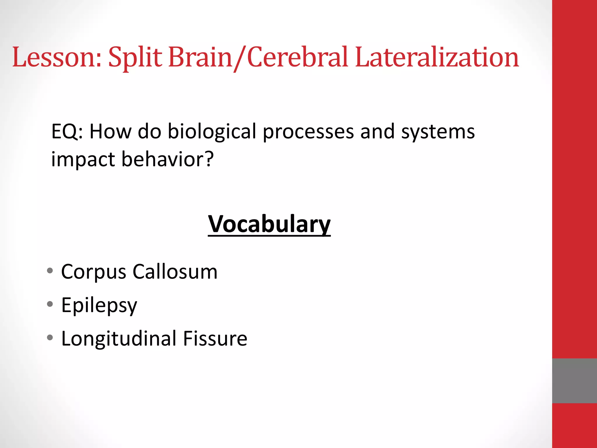 Lesson: Split Brain/Cerebral Lateralization
• Corpus Callosum
• Epilepsy
• Longitudinal Fissure
EQ: How do biological processes and systems
impact behavior?
Vocabulary
 