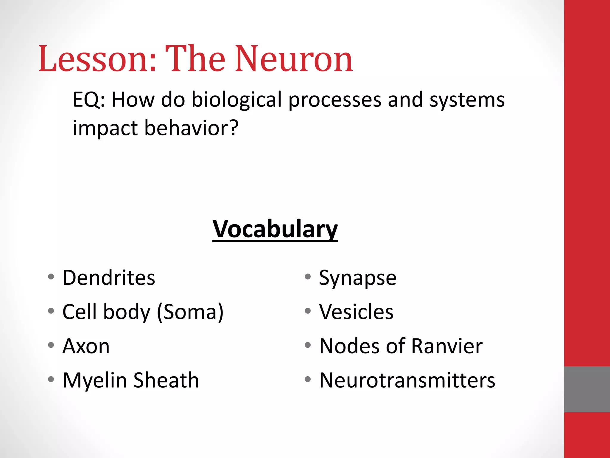 Lesson: The Neuron
• Dendrites
• Cell body (Soma)
• Axon
• Myelin Sheath
• Synapse
• Vesicles
• Nodes of Ranvier
• Neurotransmitters
EQ: How do biological processes and systems
impact behavior?
Vocabulary
 