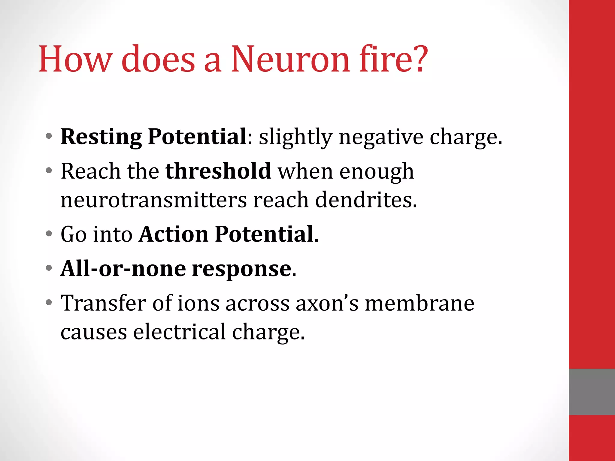 How does a Neuron fire?
• Resting Potential: slightly negative charge.
• Reach the threshold when enough
neurotransmitters reach dendrites.
• Go into Action Potential.
• All-or-none response.
• Transfer of ions across axon’s membrane
causes electrical charge.
 