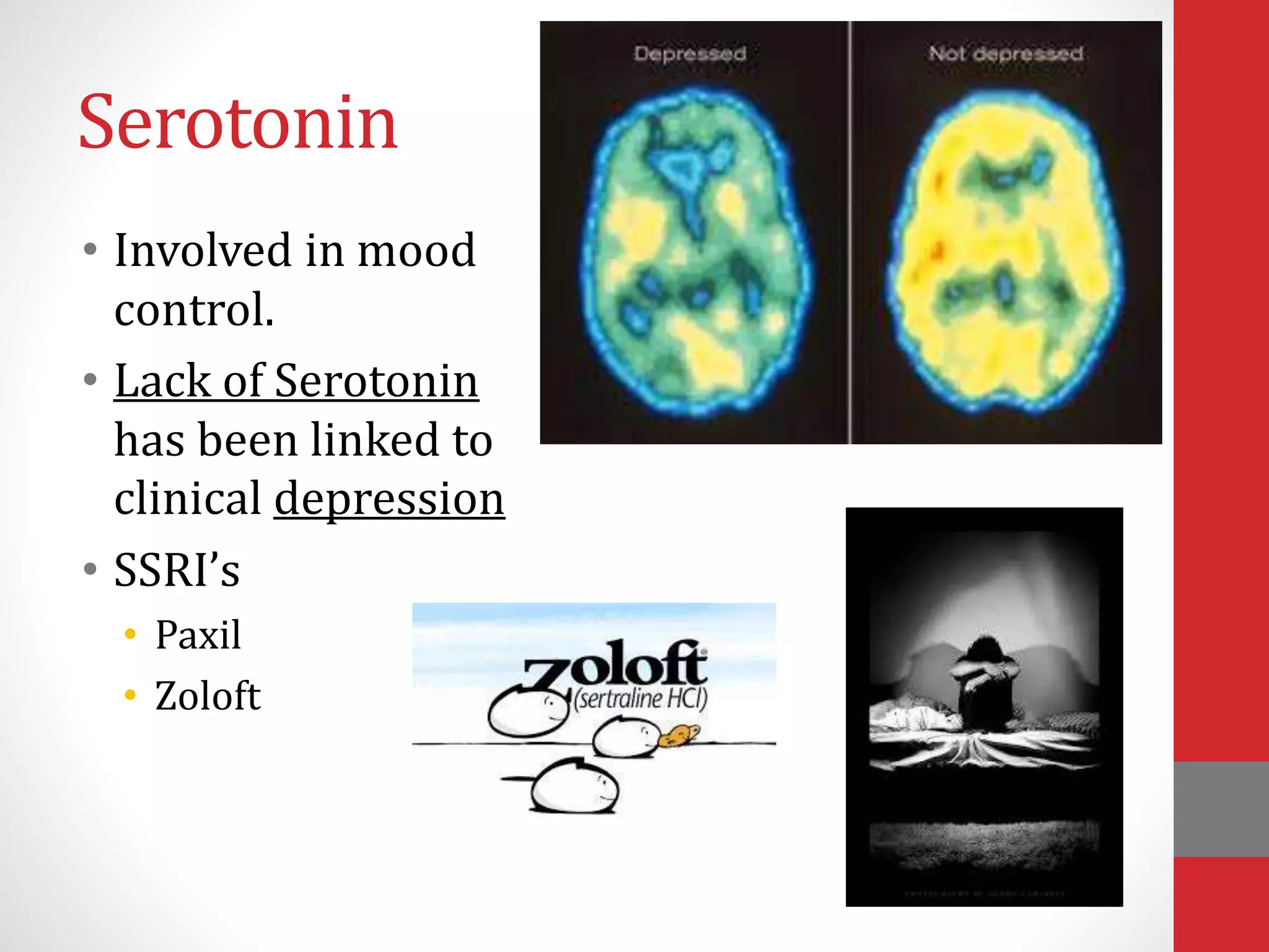 • Involved in mood
control.
• Lack of Serotonin
has been linked to
clinical depression
• SSRI’s
• Paxil
• Zoloft
Serotonin
 