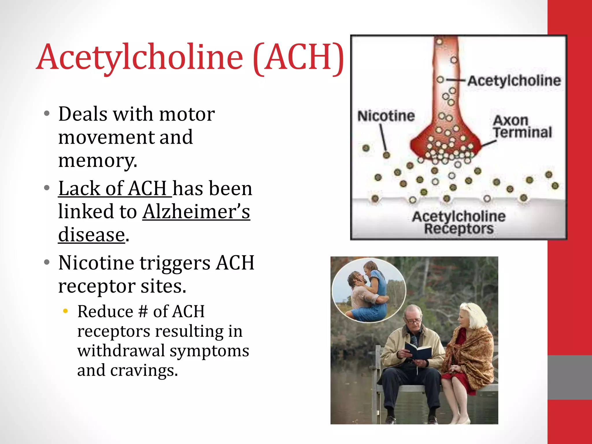 Acetylcholine (ACH)
• Deals with motor
movement and
memory.
• Lack of ACH has been
linked to Alzheimer’s
disease.
• Nicotine triggers ACH
receptor sites.
• Reduce # of ACH
receptors resulting in
withdrawal symptoms
and cravings.
 