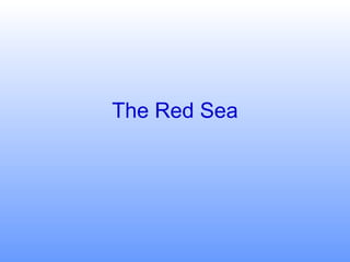 The Red Sea 
