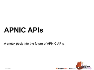 APNIC APIs | PDF