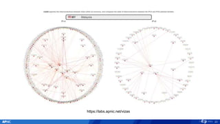 23
https://labs.apnic.net/vizas
 