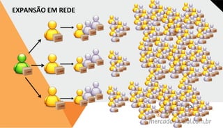 EXPANSÃO EM REDE
 