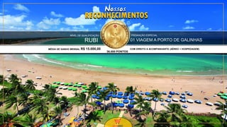 31
RECONHECIMENTOS
Nossos
01 VIAGEM A PORTO DE GALINHAS
COM DIREITO A ACOMPANHANTE (AÉREO + HOSPEDAGEM)
PREMIAÇÃO ESPECIAL
RUBI
MÉDIA DE GANHO MENSAL R$ 15.000,00
NÍVEL DE QUALIFICAÇÃO
36.000 PONTOS
 