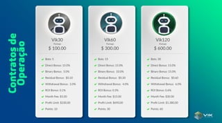 Apresentação de Negócios da Vick Empreendimentos Financeiros