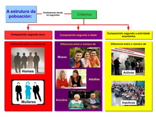 A estrutura da poboación:  Analizámola dende os seguintes Criterios Composición segundo sexo Composición segundo a idade Composición segundo a actividade económica Diferencia entre o número de  Homes Mulleres Diferencia entre o número de  Diferencia entre o número de  Mozos Adultos Anciáns Activos Inactivos 