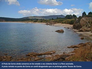 A Praia da Corna aínda conserva en bo estado o seu sistema dunar e a flora asociada.
A praia remata na punta da Corna un cantil desgastado que se prolonga polas Touzas da Corna.
 