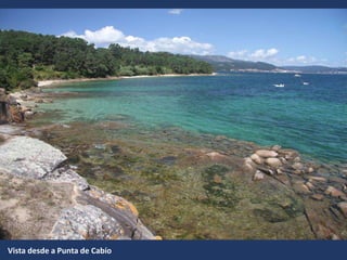Vista desde a Punta de Cabío
 