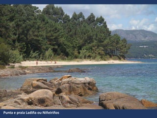 Punta e praia Ladiña ou Niñeiriños
 