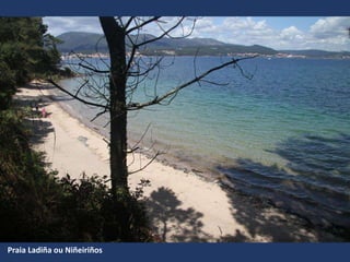 Praia Ladiña ou Niñeiriños
 