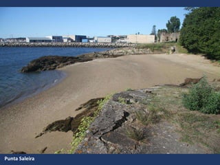 Punta Saleira
 