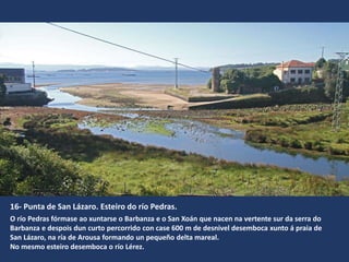 16- Punta de San Lázaro. Esteiro do río Pedras.
O río Pedras fórmase ao xuntarse o Barbanza e o San Xoán que nacen na vertente sur da serra do
Barbanza e despois dun curto percorrido con case 600 m de desnivel desemboca xunto á praia de
San Lázaro, na ría de Arousa formando un pequeño delta mareal.
No mesmo esteiro desemboca o río Lérez.
 