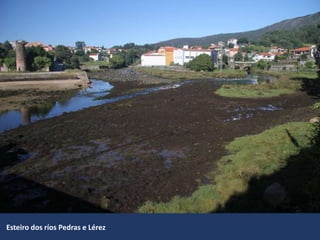 Esteiro dos ríos Pedras e Lérez
 