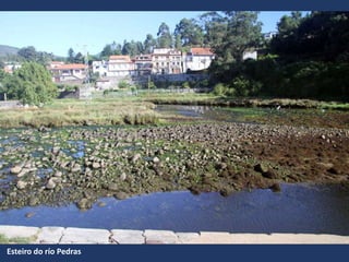 Esteiro do río Pedras
 