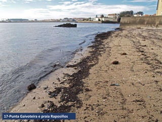 17-Punta Gaivoteira e praia Raposiños
 
