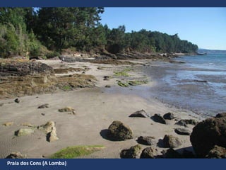 Praia dos Cons (A Lomba)
 