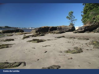 Costa da Lomba
 