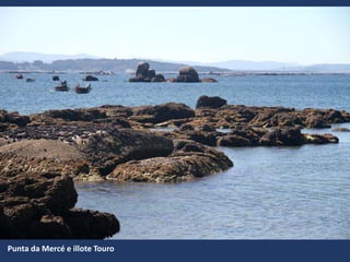 Punta da Mercé e illote Touro
 