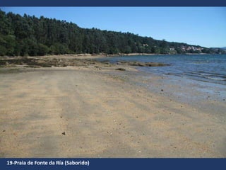 19-Praia de Fonte da Ría (Saborido)
 