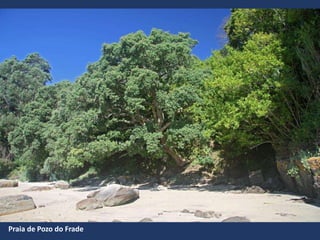 Praia de Pozo do Frade
 